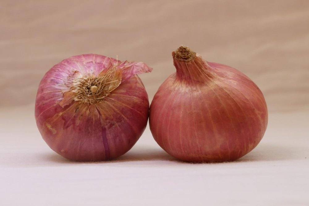 A Grade Dry Pink Shallot Onion, Loose, Onion Size Available: Medium