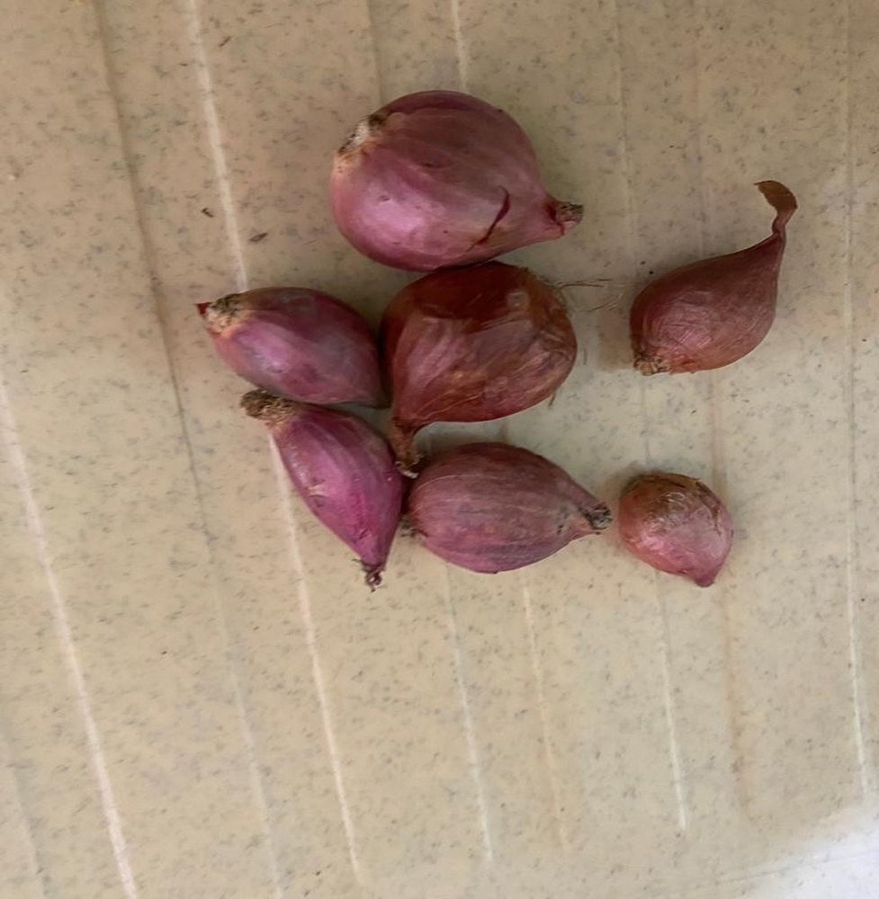 A Grade Dry Shallots Small Onion, For Food