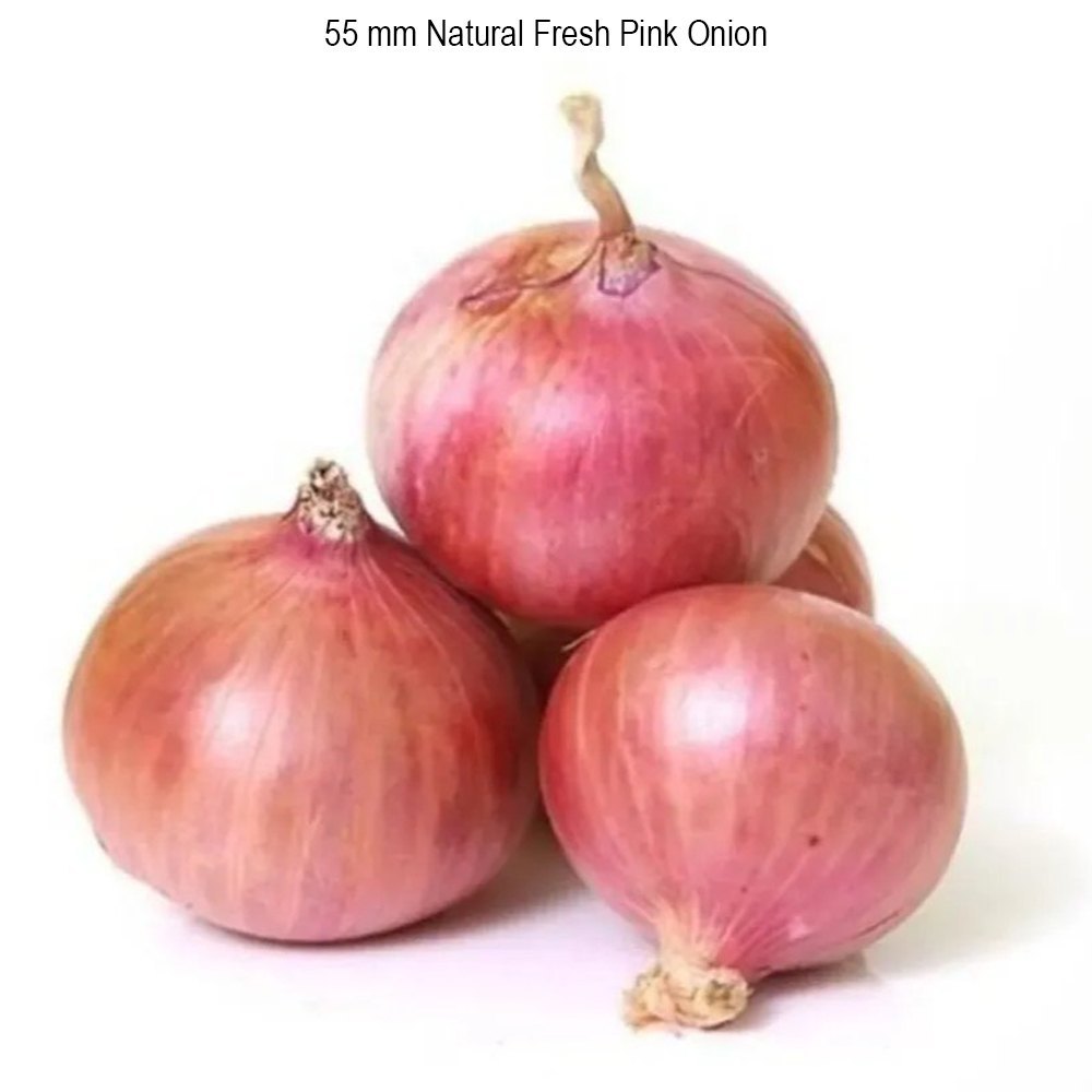 A Grade Dry 55 mm Natural Fresh Pink Onion, Gunny Bag, Packaging Size: 5 Kg