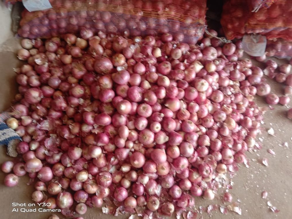 onion Brown and pink, For Home, Size: 35 mm To 65 mm