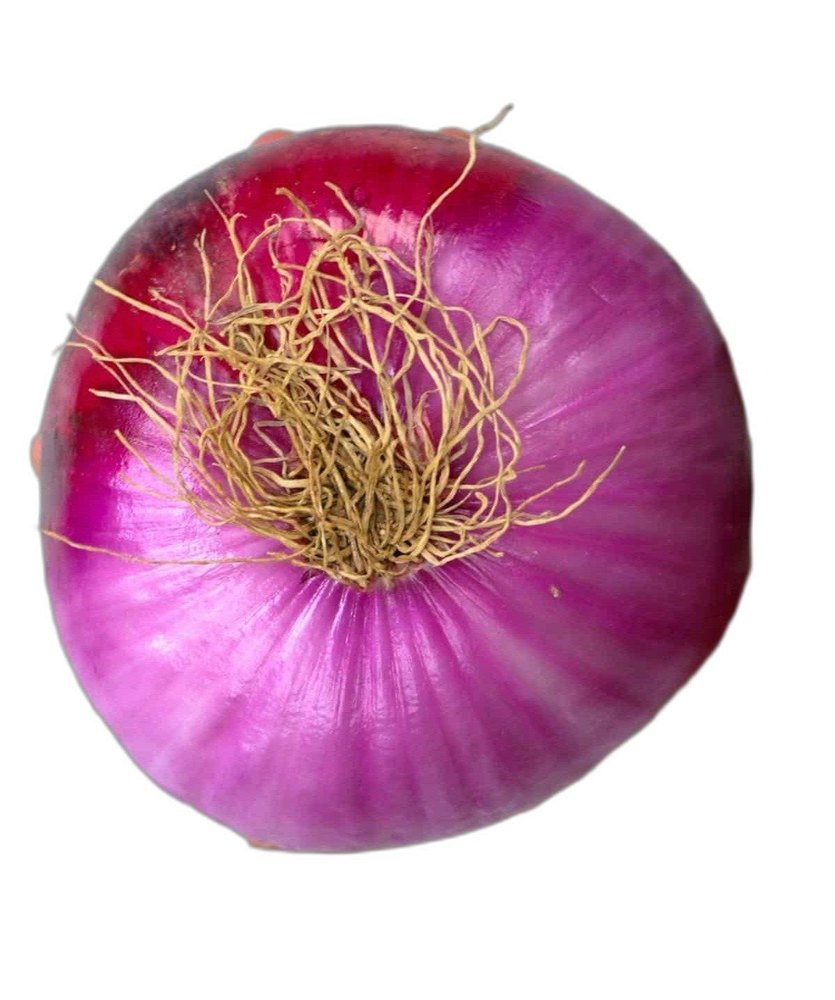A Grade Dry Fresh Pink Onion, Loose, Onion Size Available: 20mm
