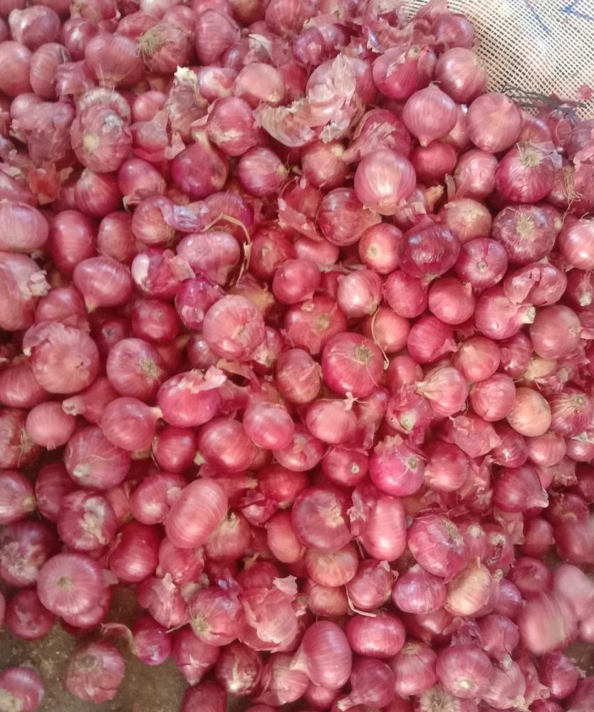 Cold Storage A Grade pink Medium Onion, For Food, Loose