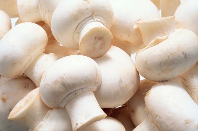 A Grade Mushroom, 10 Kg, Packaging Type: Carton