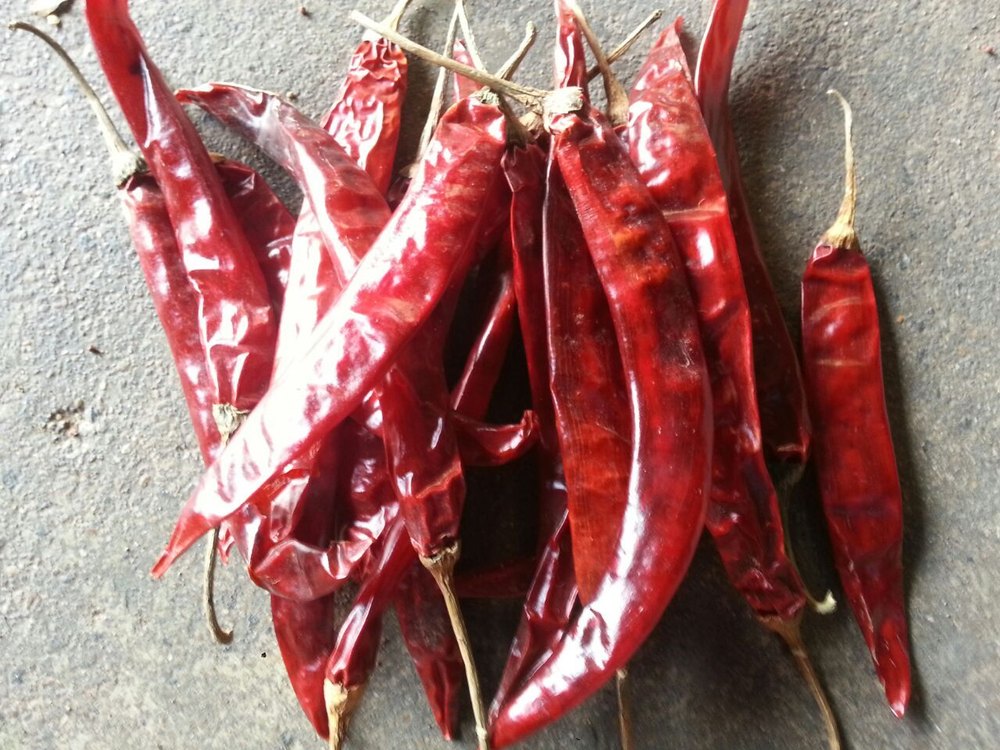 Wonder Hot Chilli