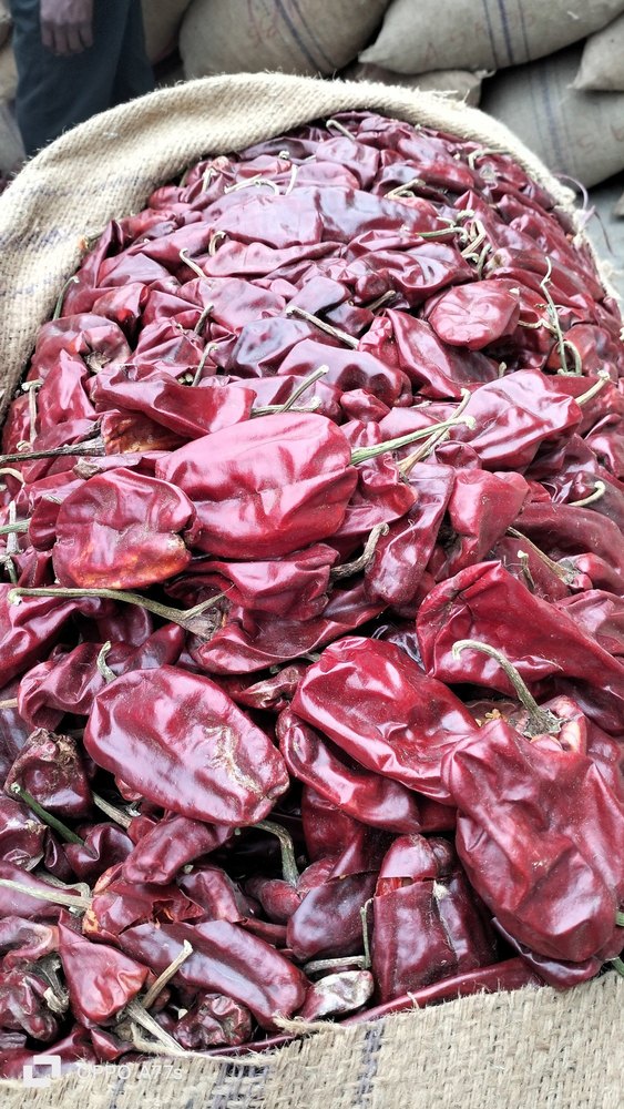 A Grade Tomato/Chapata Warangal Mirchi, Telangana, Packaging Size: 50 Kg