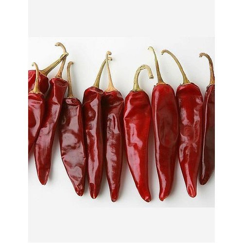 Chounk Red Capsicum Resham Patta Chilli, Andhra Pradesh, Packaging Size: 20 Kg