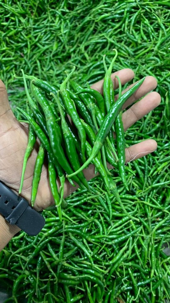 A Grade G4 Fresh Green Chilly, For Cooking, Packaging Size: 4.5 Kg
