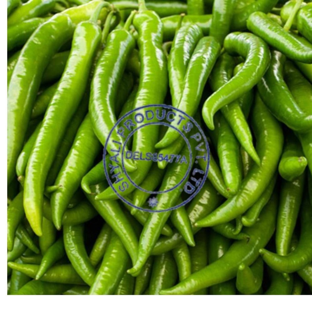 A Grade Green Chilli, Maharashtra, Packaging Size: 50 Kgs