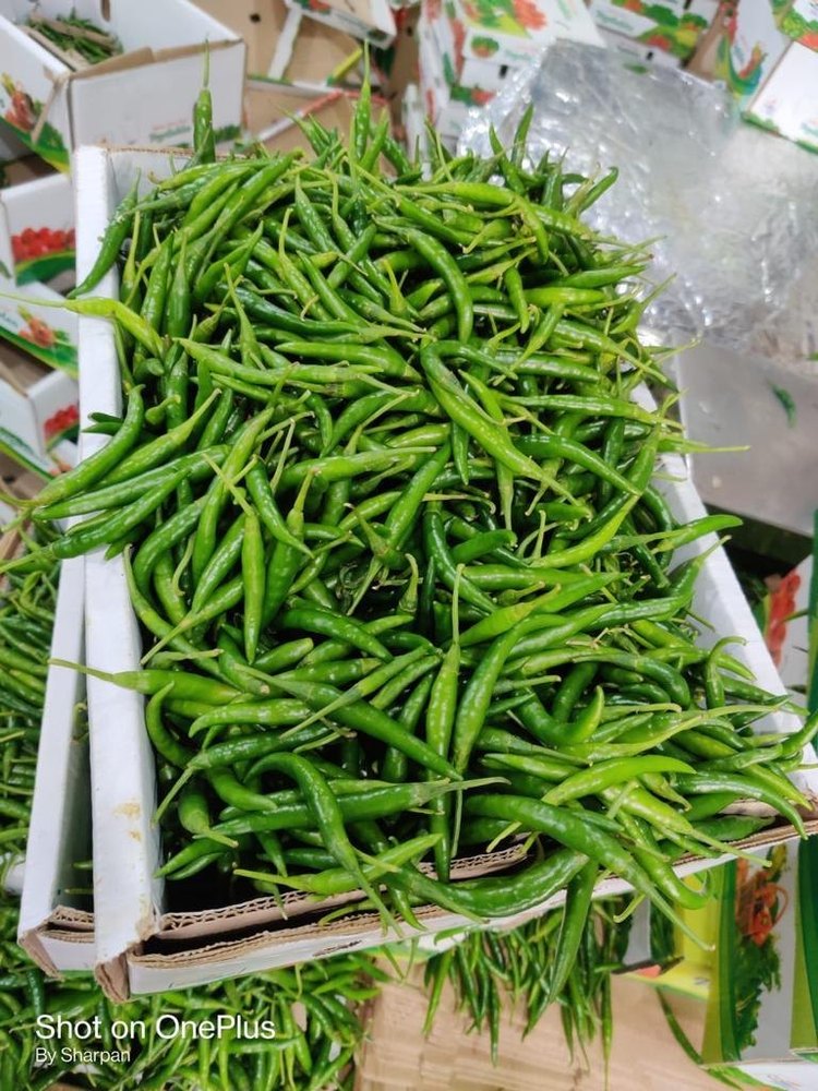 G4 Green Chilli, Maharashtra, Packaging Size: 3.8 kg