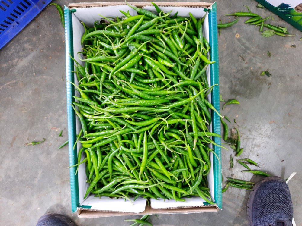 A Grade G4 Green Chilli, Pan India, Packaging Size: 3.8kg nett 4.5kg gross