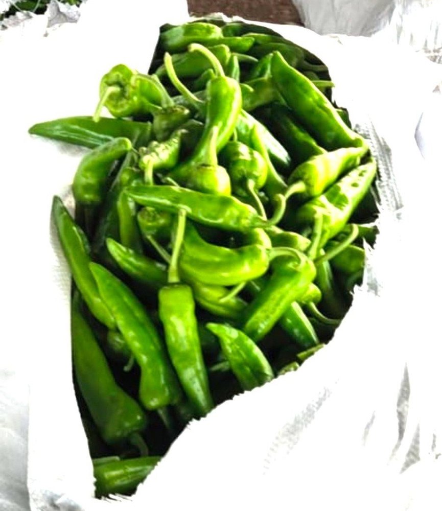 Picador chilly A Grade Fresh Green Chilli, Gujarat, Packaging Size: 10 Kg