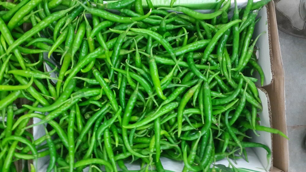 A Grade Farm Fresh Green Chilli, Maharashtra, Packaging Size: 5 Kg