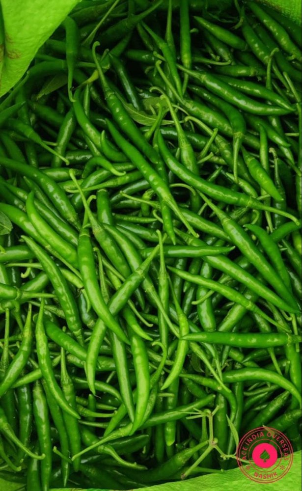 A Grade Green Chilli / G4 Fresh Green Chilli, For Food, Pan India