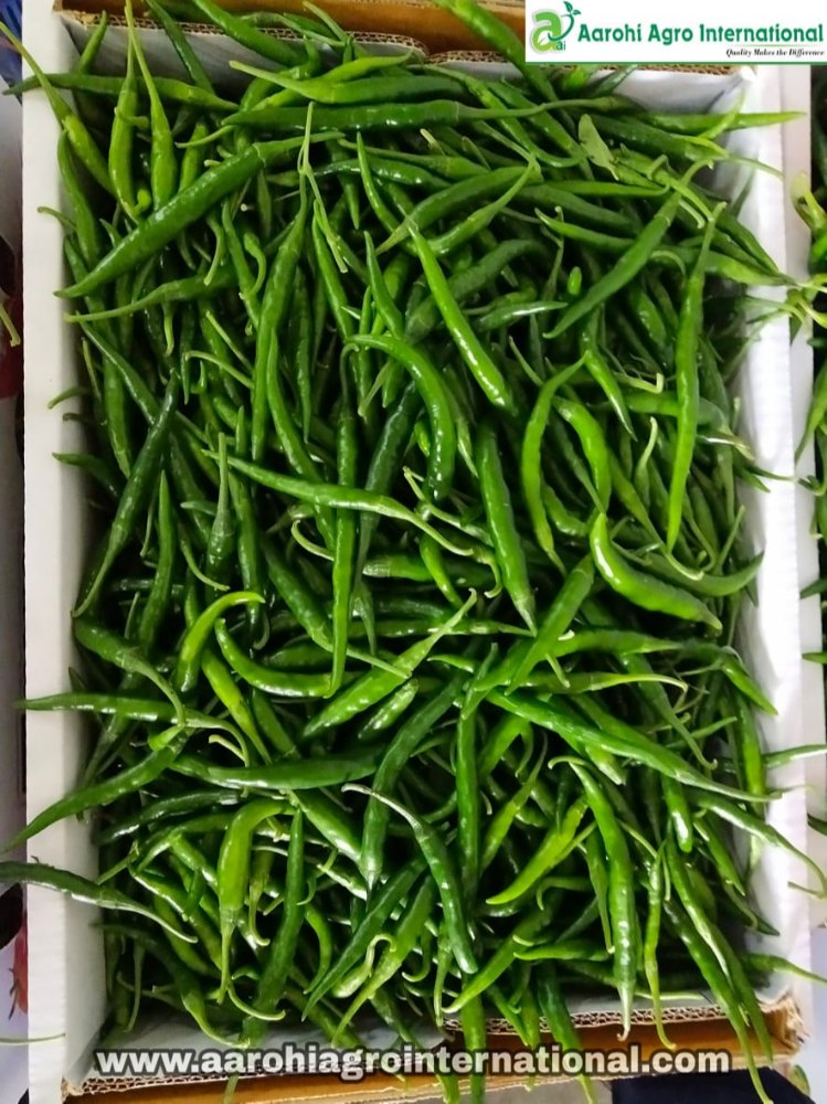 G4 A Grade Green Chilli, Maharashtra, Packaging Size: 4KG