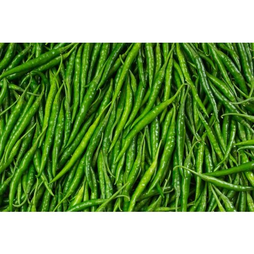 A Grade 4 Inch Indian Green Chilli, Pan India, Packaging Size: 5 Kg