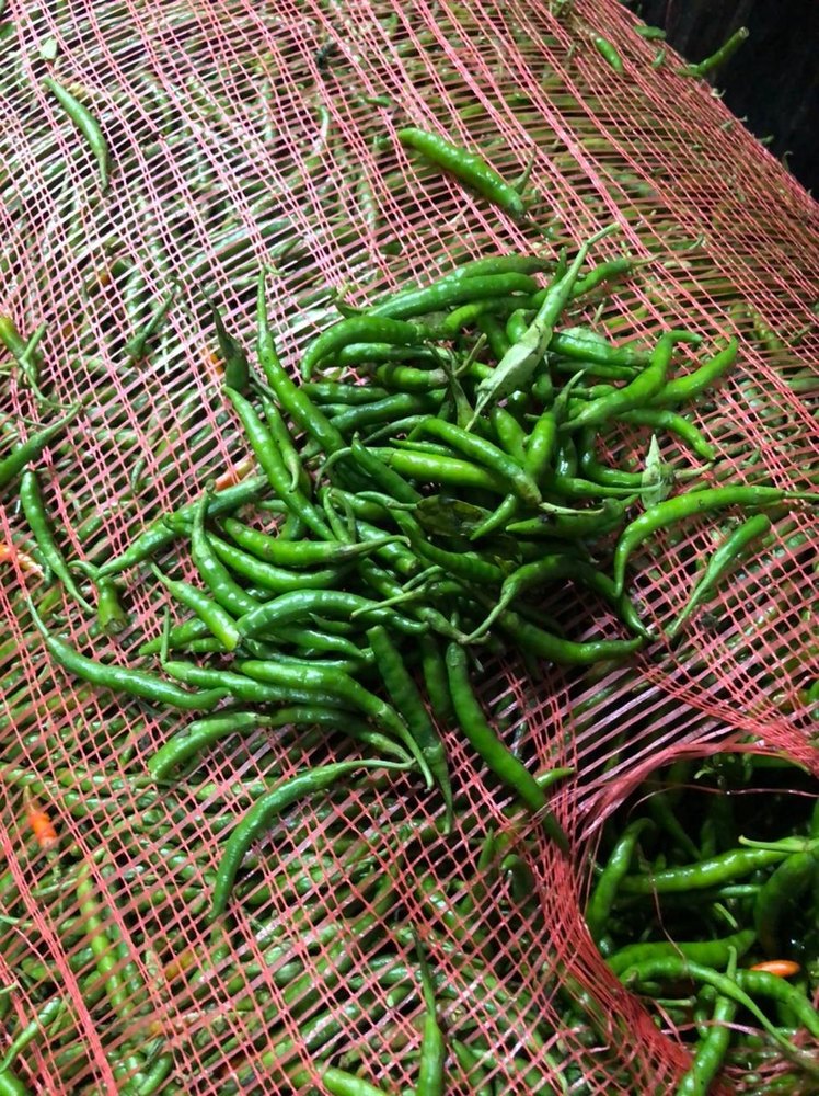 g4 A Grade Green Chillies Hari Mirch, Pan India, Packaging Size: 30