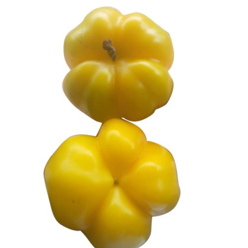 A Grade Yellow Capsicum