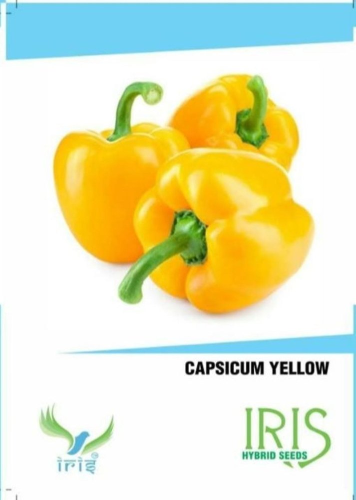 Iris A Grade Capsicum Yellow, For Cooking, Pan India