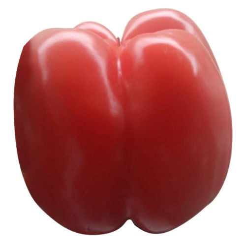 A Grade Red Capsicum
