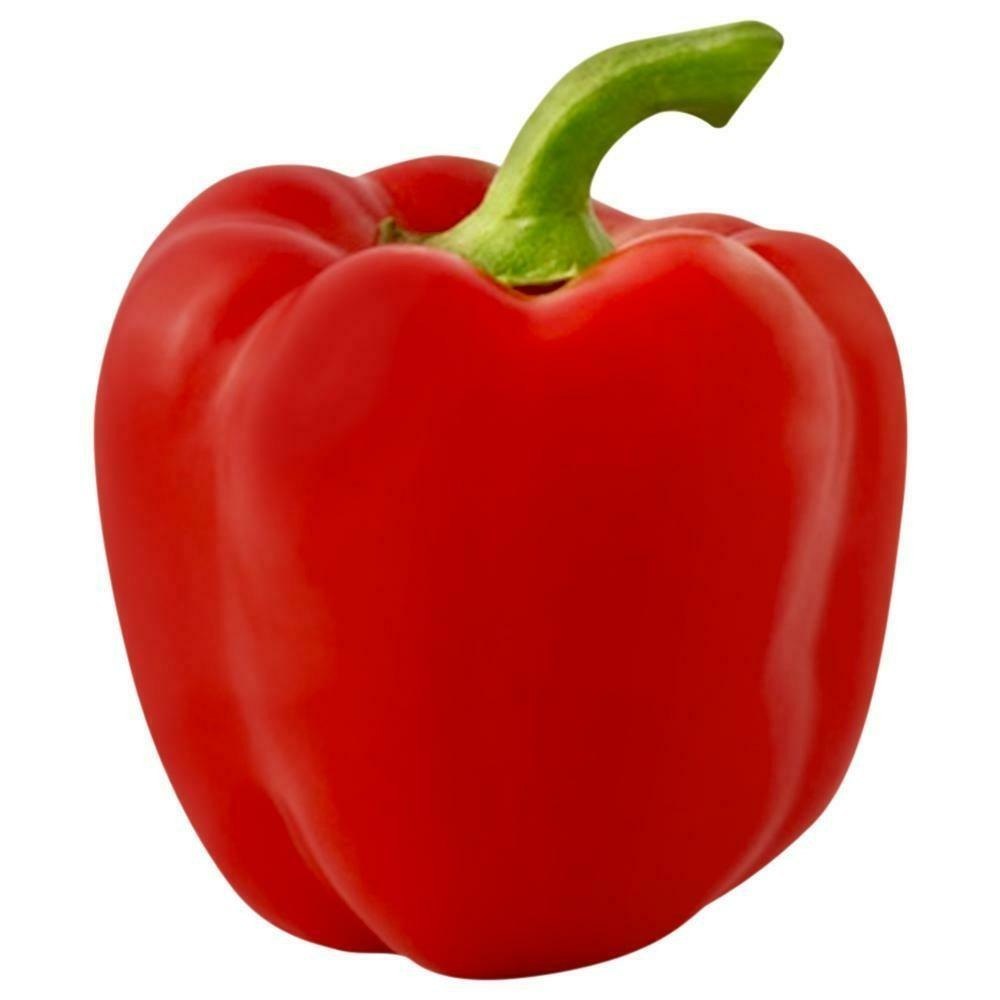 12 cm A Grade Red Capsicum, For Cooking, Maharashtra