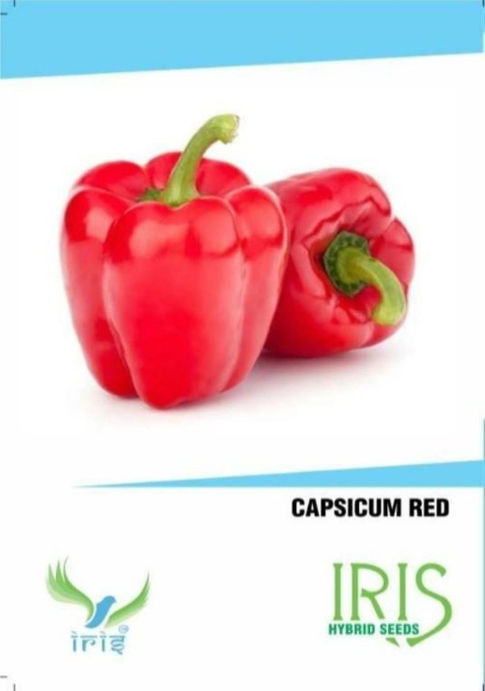 Iris A Grade Capsicum Red, For Cooking, Pan India