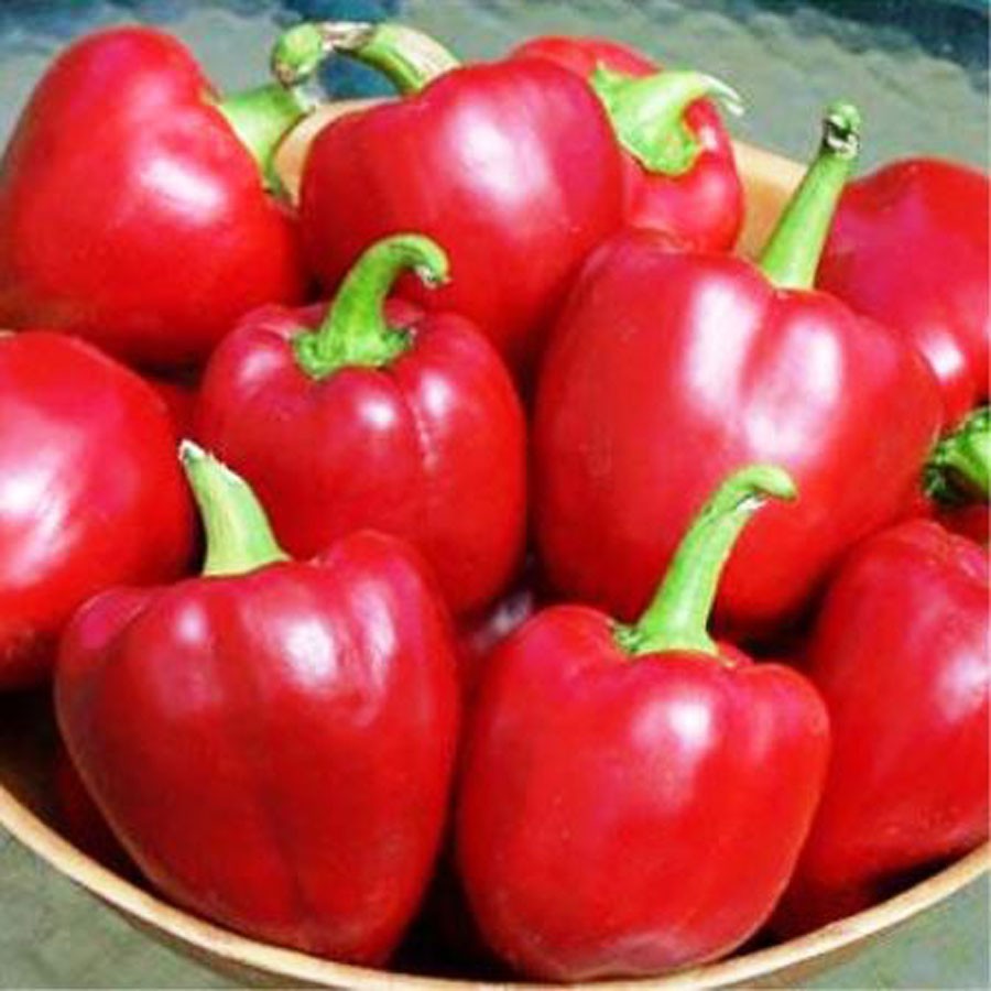 Red Capsicum, Packaging: Plastic Bag or Polythene