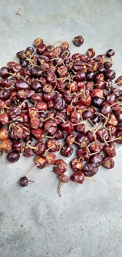 A Grade Mundu Red Chilli, For Cooking, Packaging Size: 18 Kg