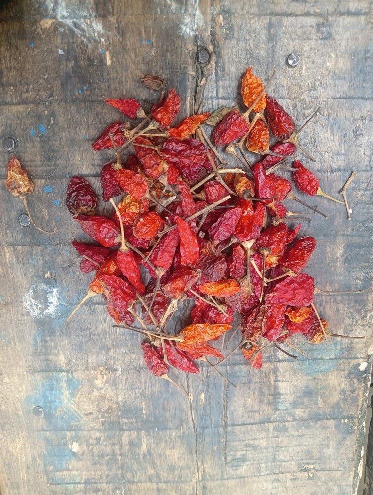Baba A Grade Assam longi mirch, For Powder, Packaging Size: 50kg