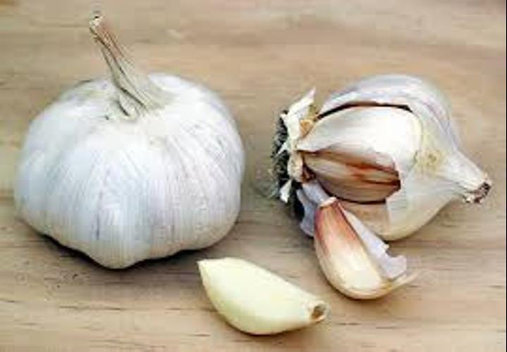 Allium Sativum (Garlic), Packaging Size: 25 kg