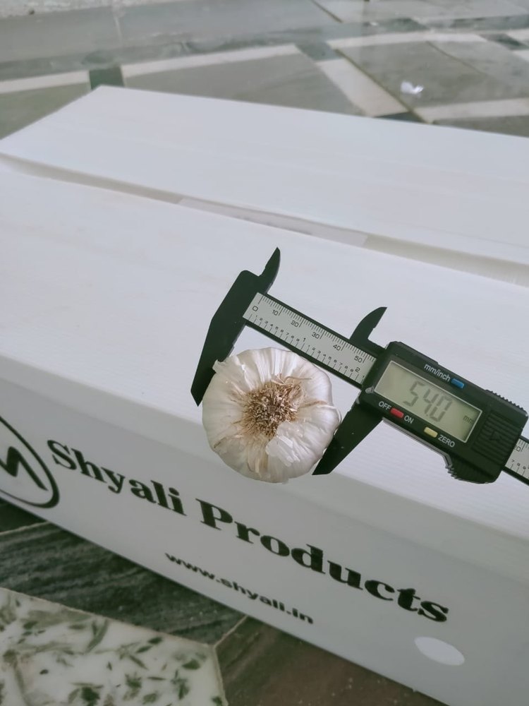 A Grade A+ Fresh Garlic, Packaging Size: 20 Box, Garlic Size: 55mm
