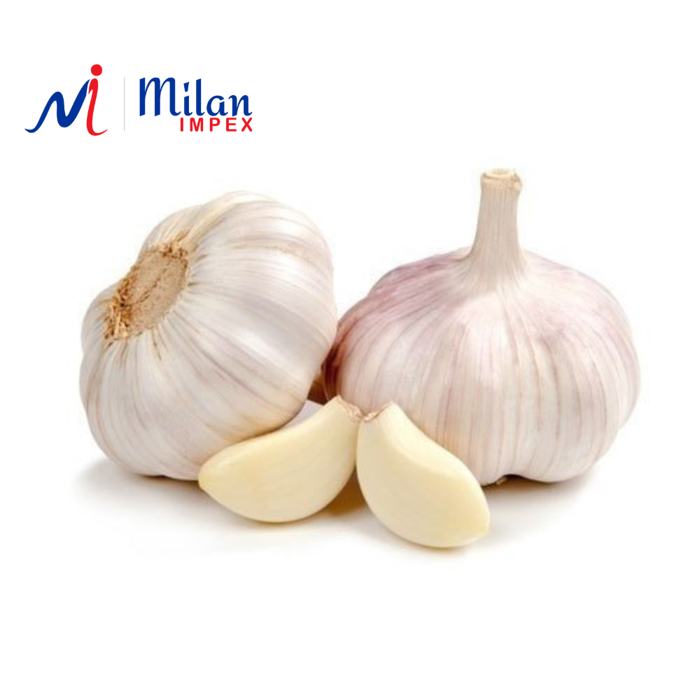 A Grade Pan India Fresh White Garlic, Packaging Type: Gunny Bag, Packaging Size: 5 Kg
