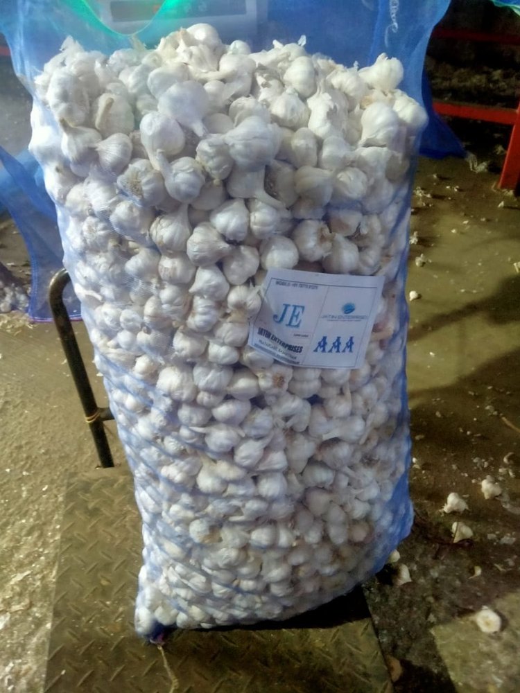 A Grade GARLIC AAA, Packaging Size: 40kg Mesh Bag, Garlic Size: 36mm-40 mm