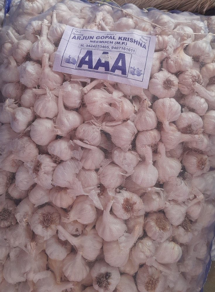 Pan India A Grade AAA mark garlic size 32-37mm, Packaging Type: Net Bag, Packaging Size: 50 kg