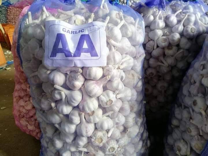Pan India A Grade Fresh Garlic, Packaging Type: Carton, Packaging Size: 5 Kg