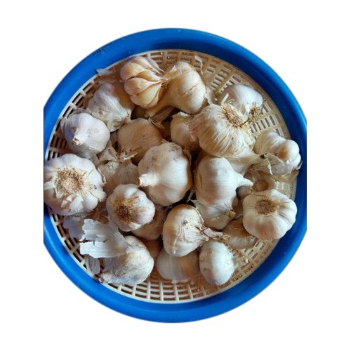 B Grade Fresh Garlic, Packaging Size: 10 Kg