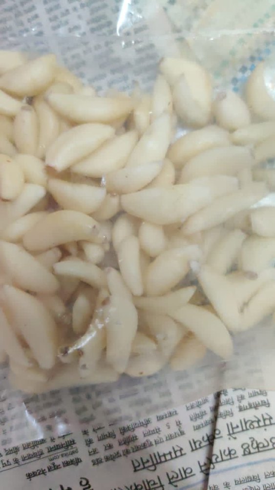 A Grade Pan India MACHINE PEELED Garlic, Packaging Type: Net Bag