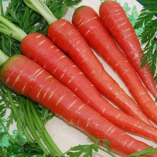 A Grade Punjab Carrot, Packaging Type: Gunny Bag, Packaging Size: 50 Kg