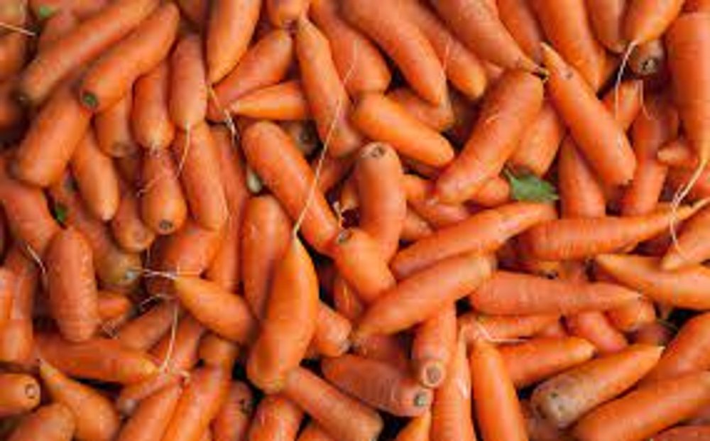 A Grade Pan India Fresh Red Carrot, Packaging Type: Carton, Packaging Size: 5 Kg