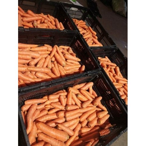 A Grade Fresh Red Carrot, Crate