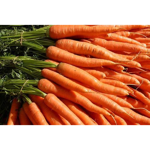 A Grade Pan India Fresh Red Carrots, Packaging Type: Plastic Bag