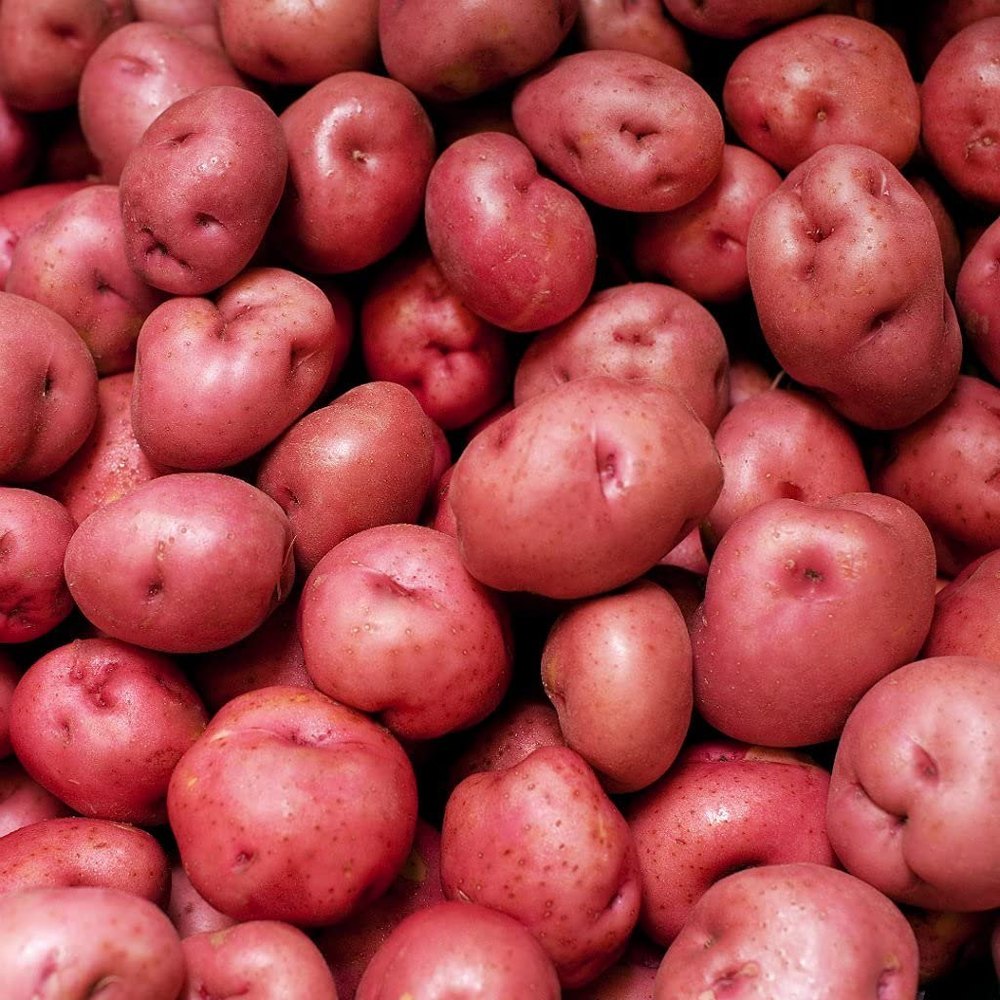 A Grade Red Potato, Packaging Type: Loose