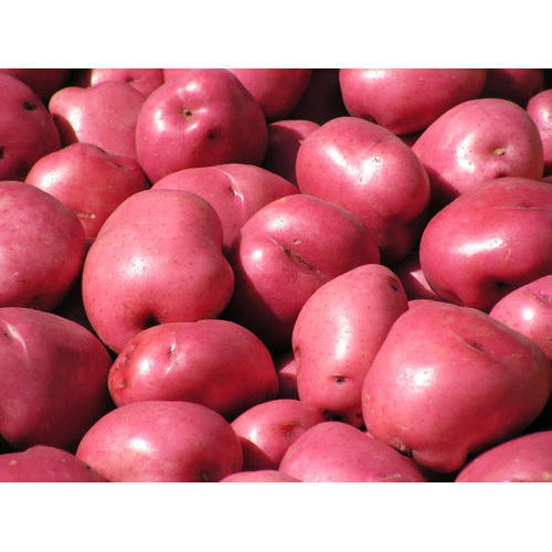 Red Potato