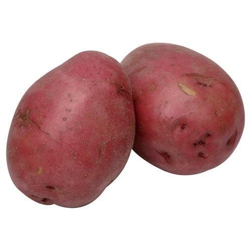 Organic Red Potato