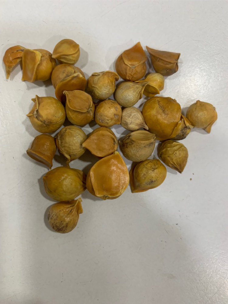 Kashmiri Garlic Snow Mountain Garlic, 25kg