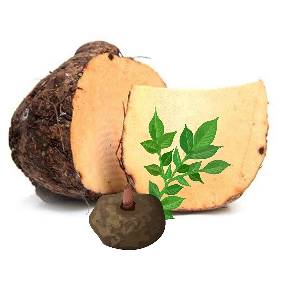 A Grade Suran Elephant Foot Yam, Packaging Type: Loose