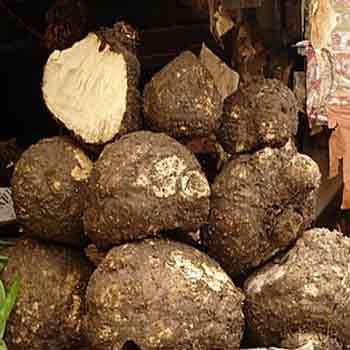 Suran Fresh Vegetable
