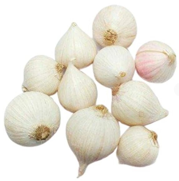 A Grade Rajasthan Single Clove Garlic, Packaging Size: 20-40 kg Net Bag