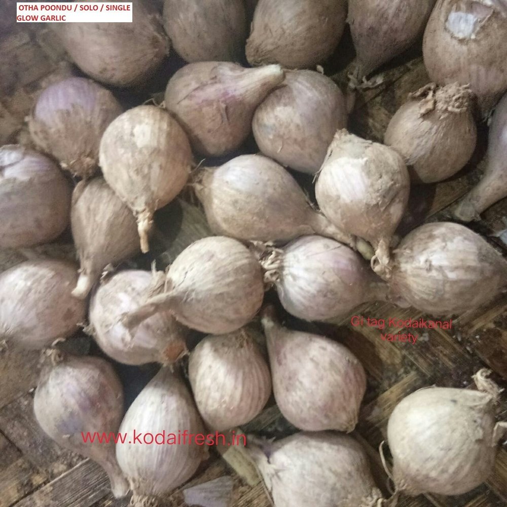 Otha Poondu A Grade Single Clove Garlic, Carton, 10 Kg