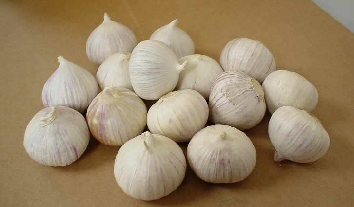 Light Brown Garlic Single Clove