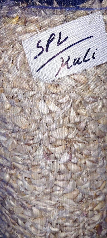 A Grade Single Clove Garlic, Bag, Packaging Size: 100 Kg